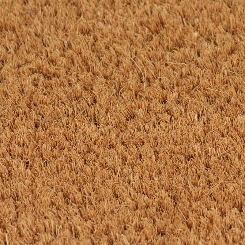 Musette Non-Slip Indoor / Outdoor Doormat, Natural