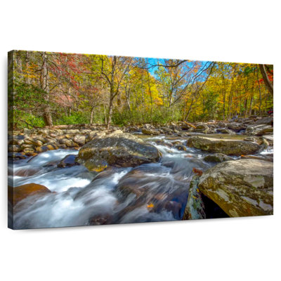 Alvord Smoky Mountains Forest Stream