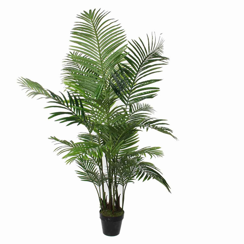 Palm Plant in Pot, 140cm H x 130cm W x 130cm D