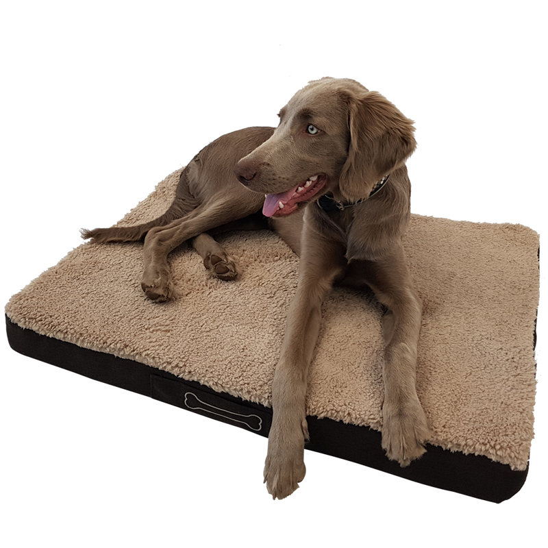 Butcher Orthopedic Polyester Pet Bed, Large (100cm W x 65cm D)