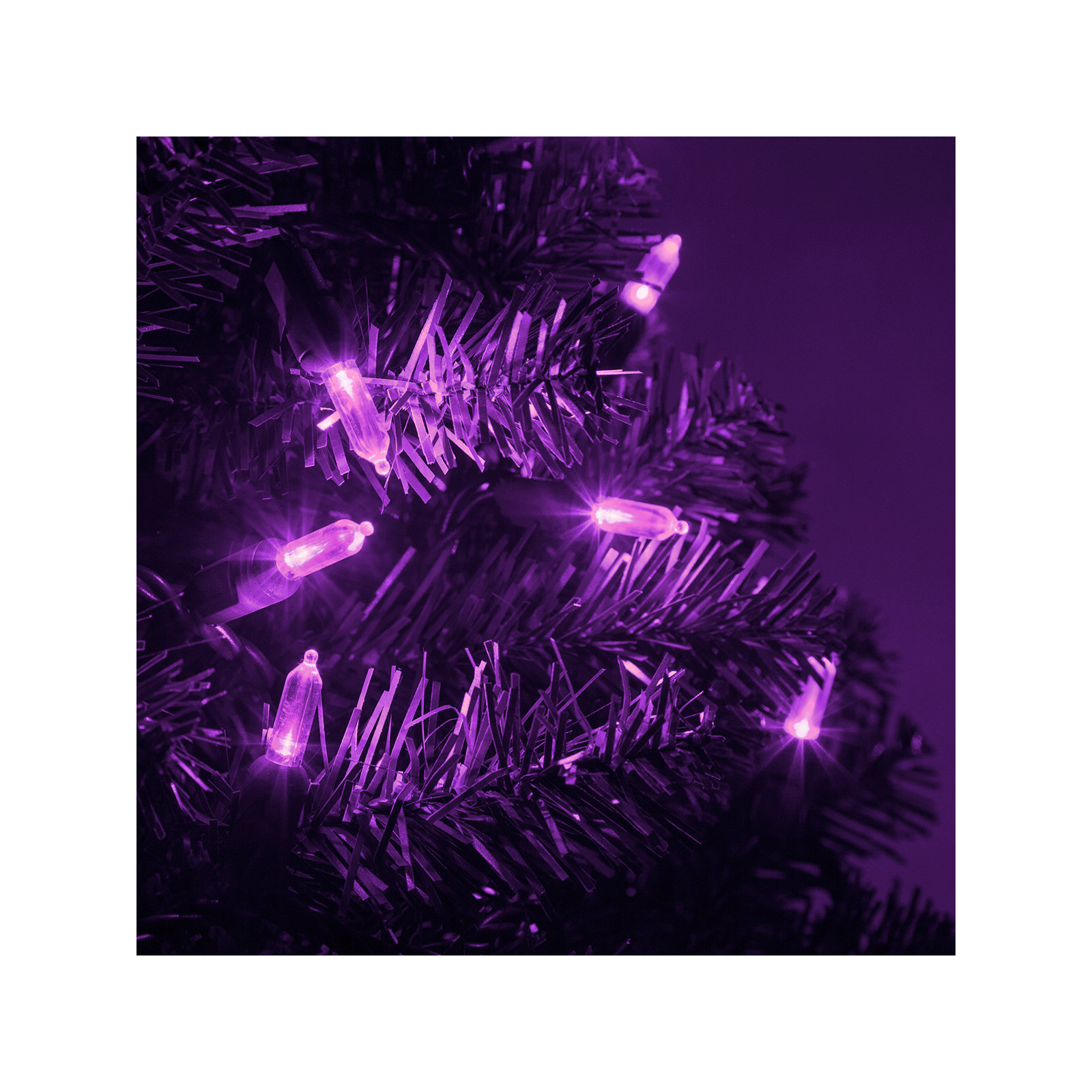 306'' LED String Lights, Purple