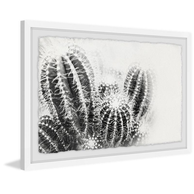 Cactus Spines - Single Picture Frame Print, 30cm H x 46cm W x 4cm D