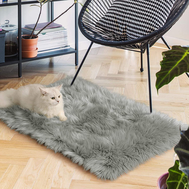 Ismene Solid Colour Shag Area Rug, Rectangle 100 x 180 cm, Gray 