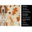Torchon Braco Italiano-2083472652