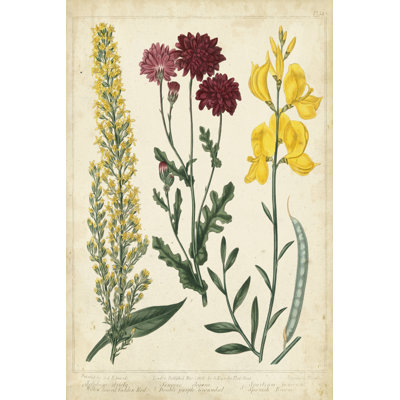 Garden Display III 1 Piece Wrapped Canvas Wall Art