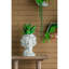 Décoration de jardin d'intérieur et d'extérieur en forme de buste en ciment 8 po x 9 po x 11,5 po
