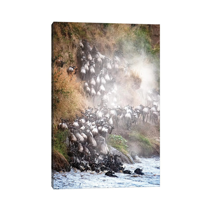 Wildebeest Climbing Up Mara River Bank by Susan Richey - Gallery-Wrapped Canvas Giclée on Canvas, Canvas