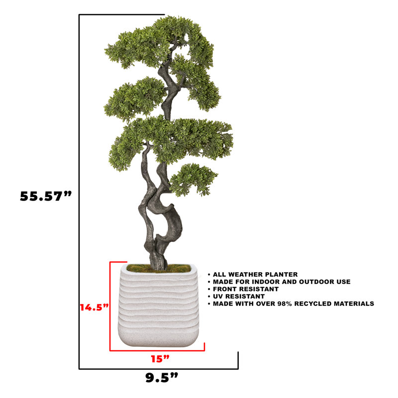 Bonsaï artificiel en pot 55,57 ", Blanc