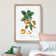 Apple Tree Branch by Pierre-Joseph Redoute - Single Picture Frame Painting