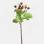 Montana Rose Hip Faux Floral-1231080859-1231080858