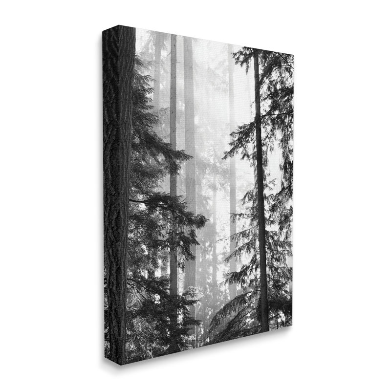 Forest Light Shining Through Tall Trees Landscape Photography Oversized Stretched Canvas Wall Art by Gail Peck, 30" H x 24" W