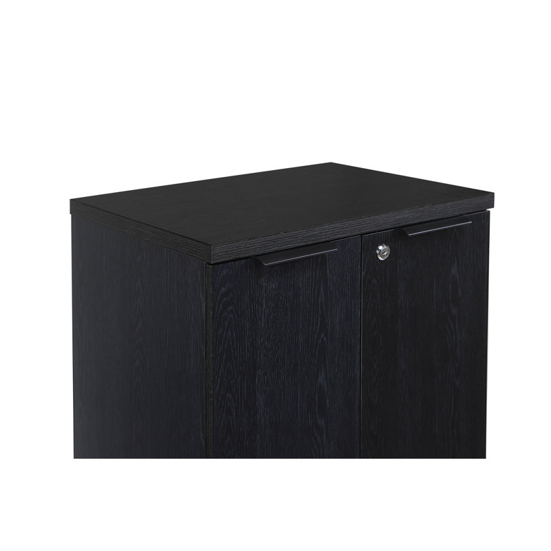 Saravia 21.65" Wide Storage Cabinet 2 - Shelf Locking Cupboard 2 Door Storage Pantry Utility Cabinet, Matte Black