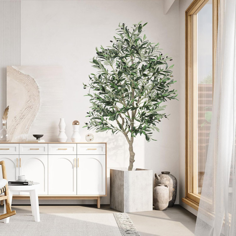 180cm Plant