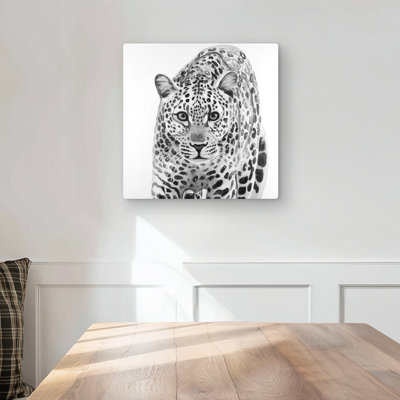 Leopard Ready to Attack - White African Metal Print | Home Decor