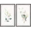 My Diptych My Plants-1869157258