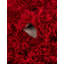 Tapis rouge-126412717