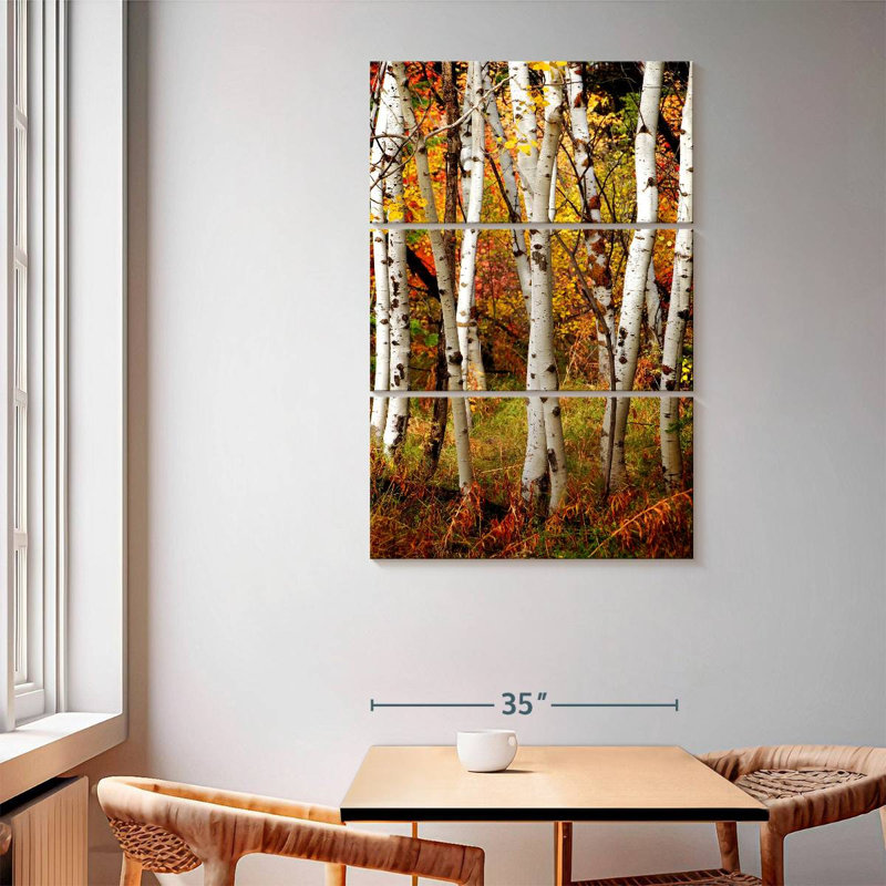 Alvord Slender Birch Trunks, 65" H x 42" W