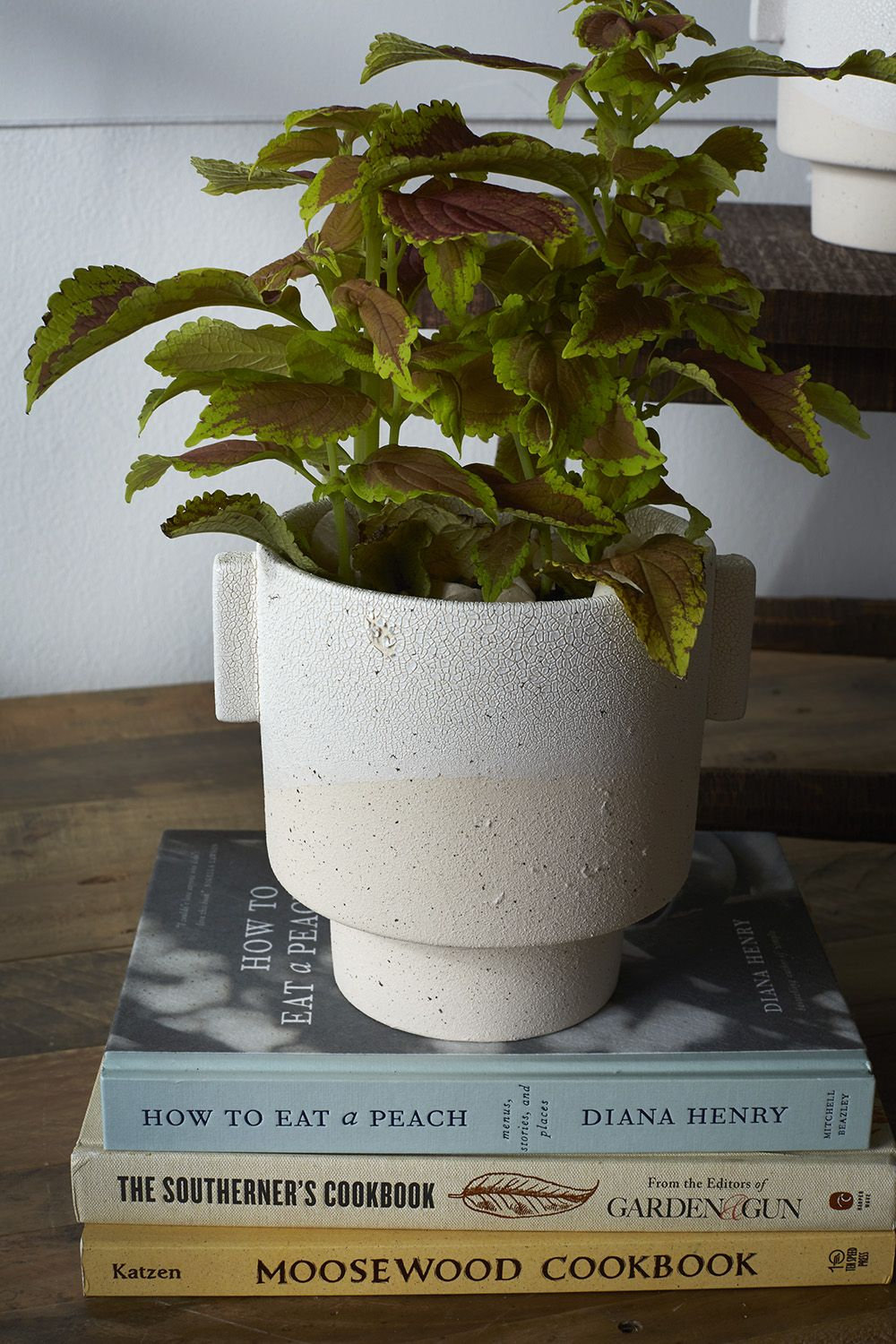 5" Ceramic Pot Planter, 7.5" H x 6.5" W x 7" D