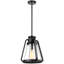 Luminaire suspendu conique à 1 lumière Iola-239980359-239980357