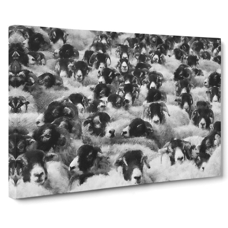 Flock Of Sheep Vol.2 - Wrapped Canvas, 40cm H x 60cm W x 3cm D