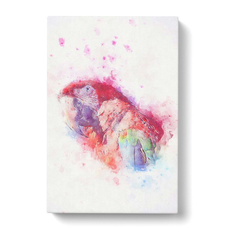 Macaw Parrot In Abstract - Wrapped Canvas, 50cm H x 35cm W x 3cm D