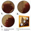 «Terra Cotta Chocolate Leaves II», reproduction sur toile-1005846915-1005846914