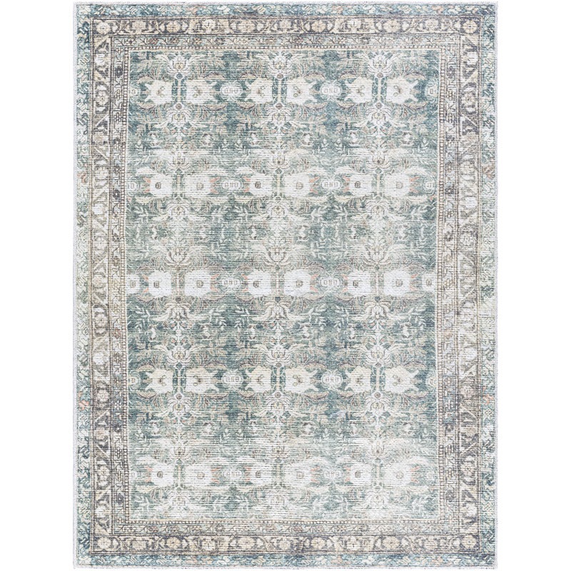 Alburga Washable Oriental Indoor Rug, Rectangle 8'10" x 12'