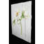 No Frame Print on Wood-29274079