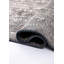 Rapture Oriental Area Rug-1588364022