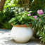 Pot de fleurs d'intérieur en terre cuite à motif texturé d'intérieur et de jardin - 7 po blanc et brun clair