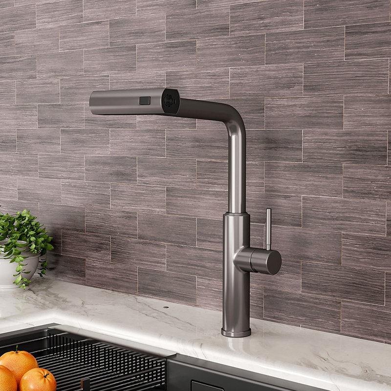 Belfry Kitchen Mallouk Pull Out Kitchen Faucet, Chrome