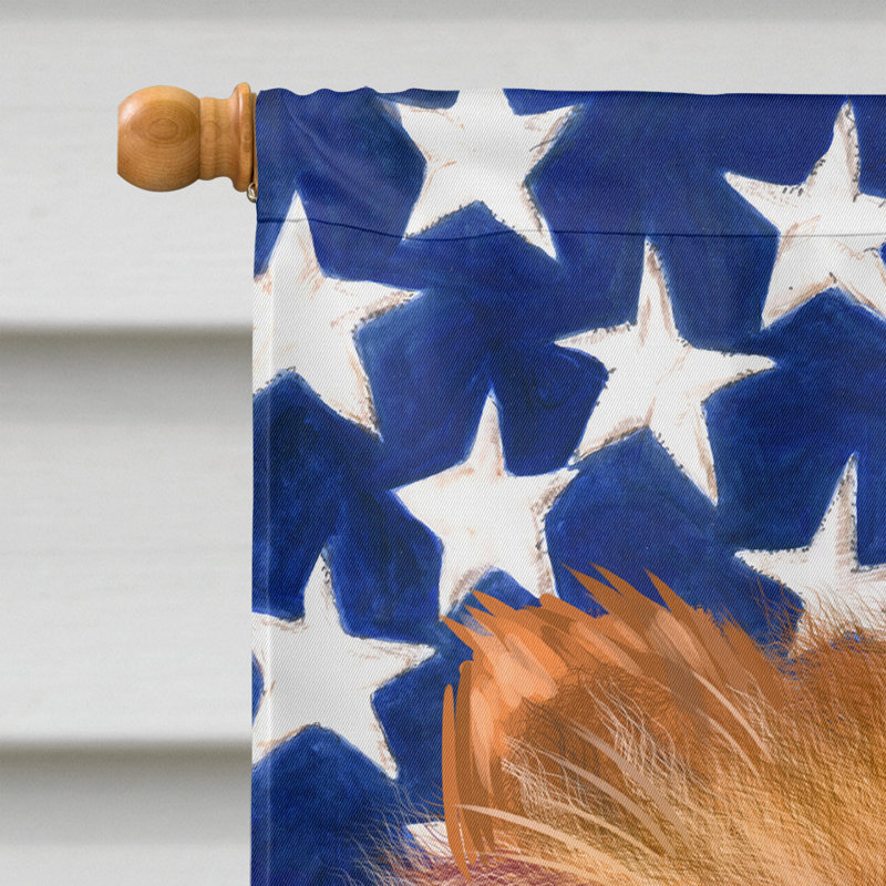 Polyester à 2 côtés 28 x 40 po drapeau maison, Chinook