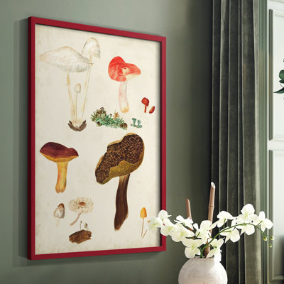Reproduction encadrée de champignon Mushroom Species
