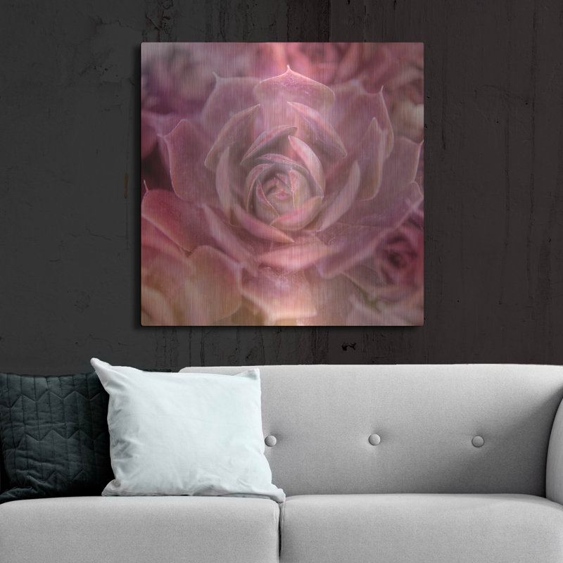 Succulents 04 par Lightbox Journal, H 12 po x l 12 po
