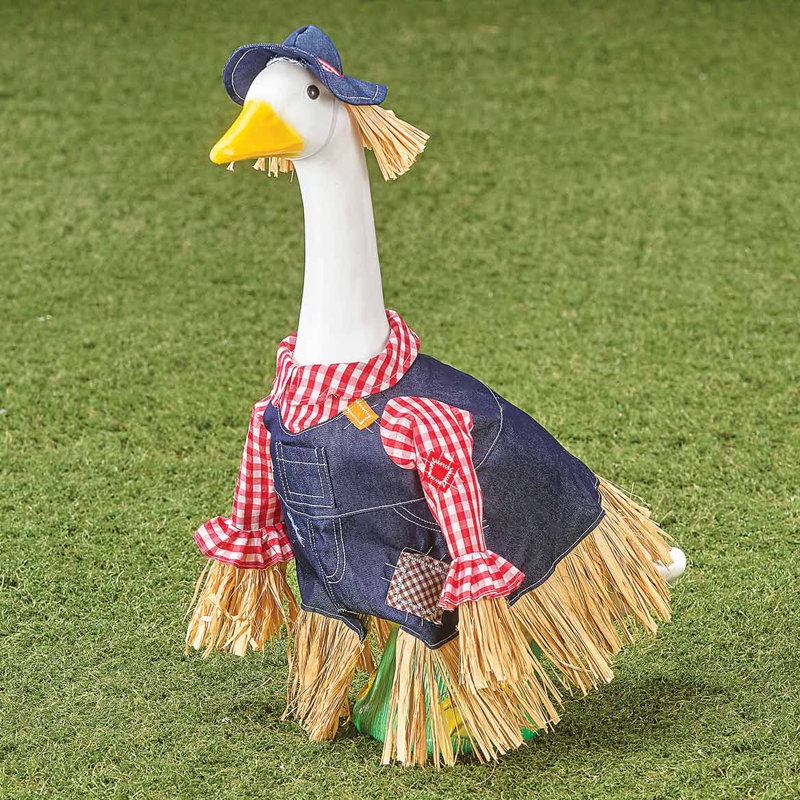 Grande tenue Gaggleville Scarecrow