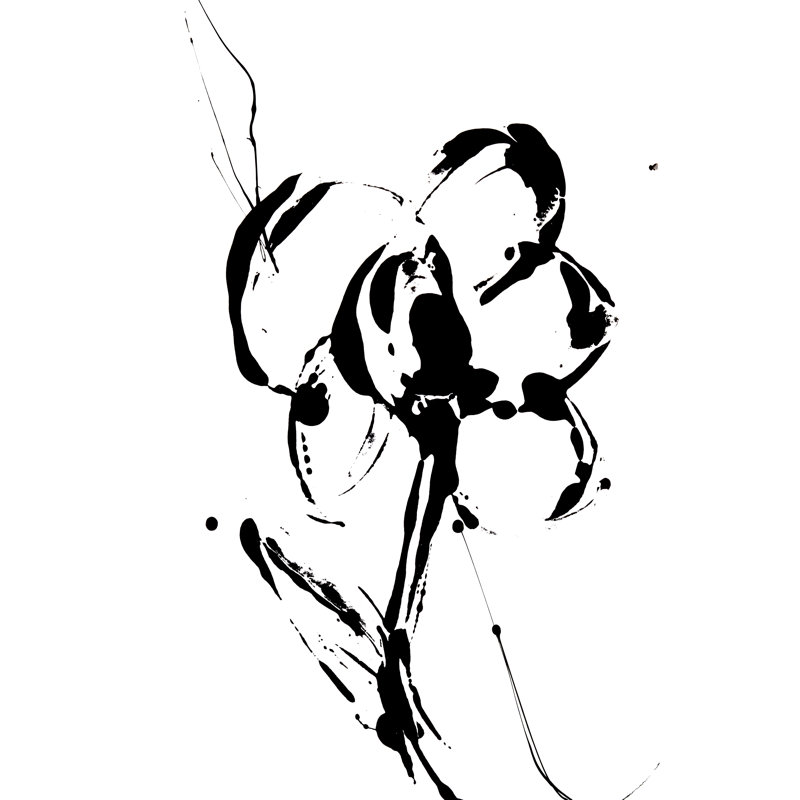 Flower Squiggle I by Erin Ashley - Wrapped Canvas Painting, 91cm H x 61cm W x 3.8cm D