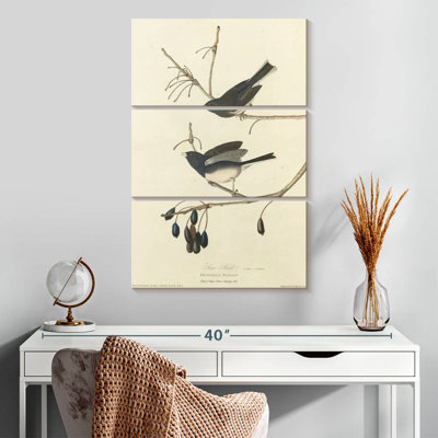 Keiri Snow Bird