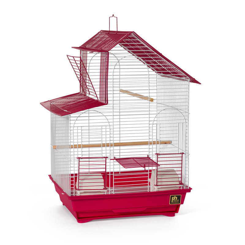 Cage à oiseaux avec perchoir 24 po, Rouge / blanc