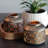 Tree Themed Lattice Candle Lanterns, Set of 2