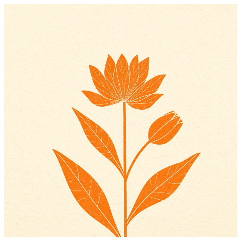 Coussins décoratifs à motif floral orange, 26 x 26 pouces
