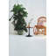 Sushmita Wicker Rocking Chair