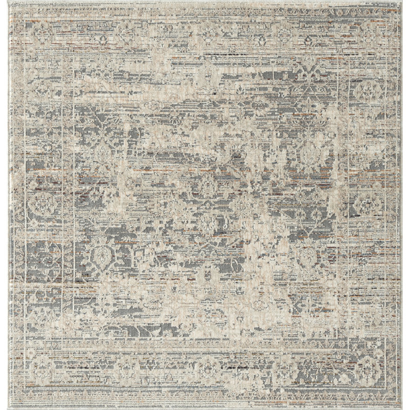 Hendricksen Southwestern Area Rug in Gray, Square 4' x 4'