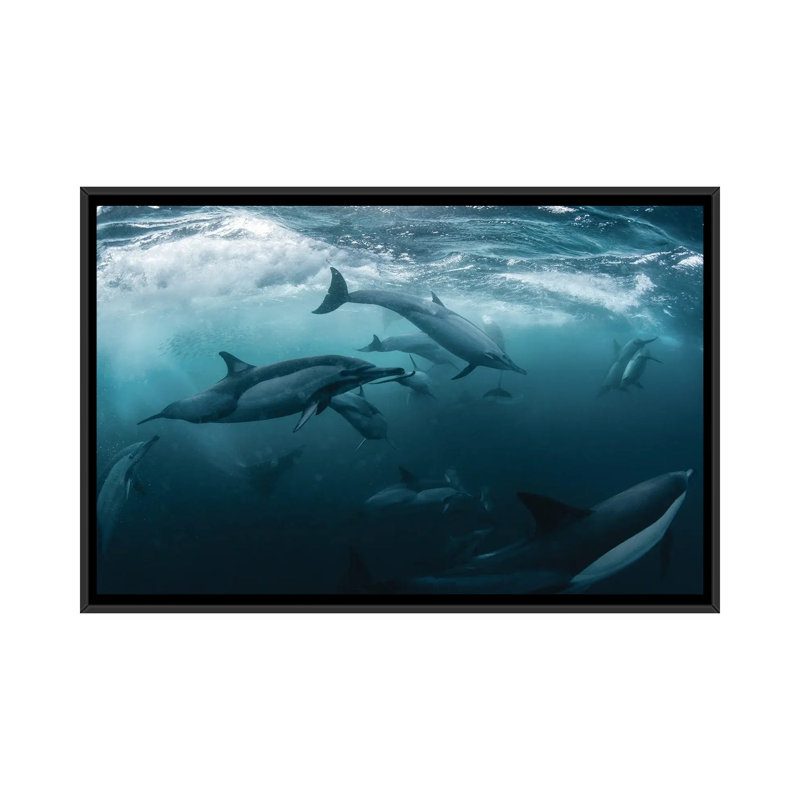 Dolphine Run by Andrey Narchuk - Print on Canvas