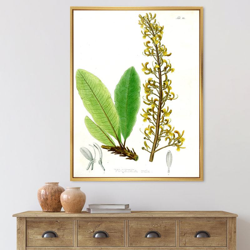 Plante brésilienne rétro IV - peinture sur toile, H 32 po x l 16 po x P 1 po, Cadre flottant doré