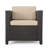 Arville Wicker Outdoor Lounge Chair-22823532