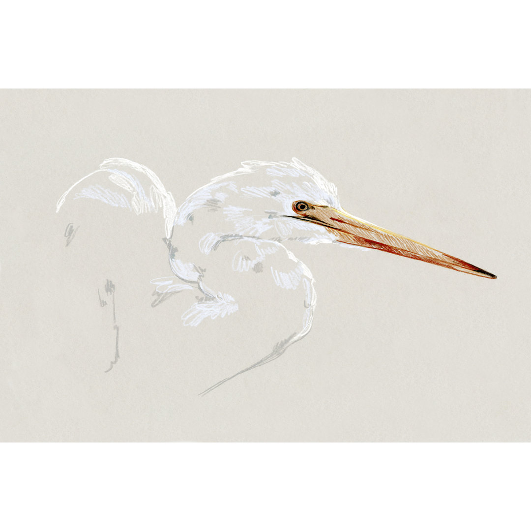 Leinwandbild Bright Egret Sketch I von Emma Caroline