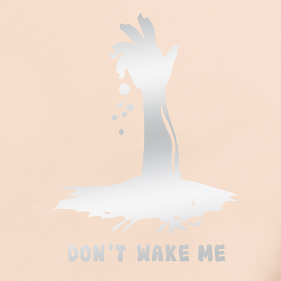 Don't Wake Me Wall Sticker