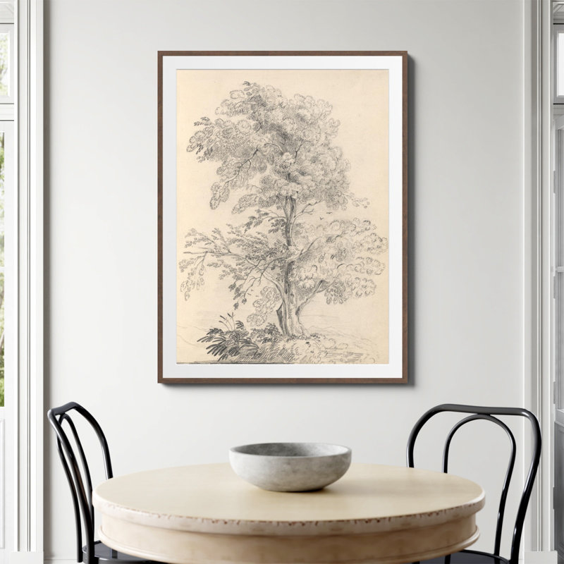 «Tree Sketch» par Wild Apple, H 48 po x l 36 po, Oui, Papier avec cadre photo noyer