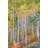 Aspen Tree in Autumn by Kencanning-560580222