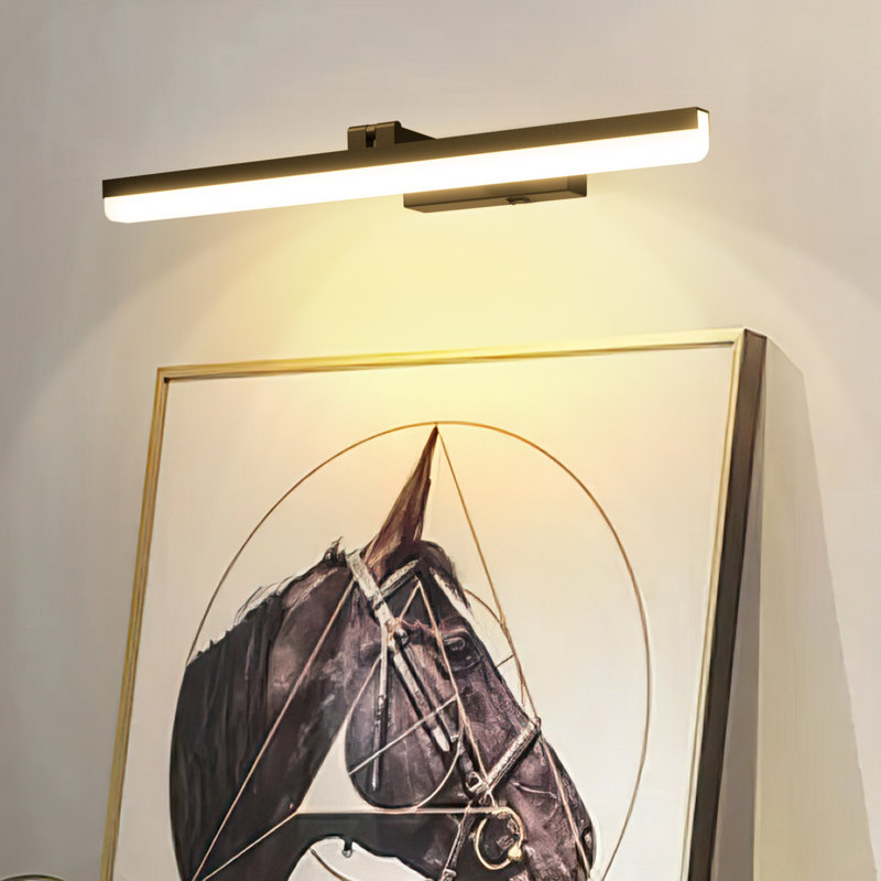19.7 Dimmable Picture Light